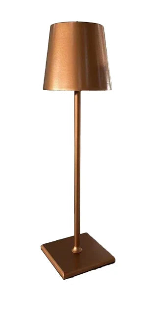 The Ren Lamp in Bronze